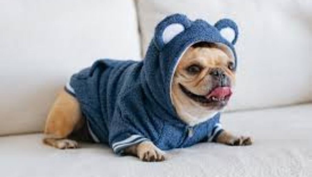 Frenchie Bulldog Hoodies