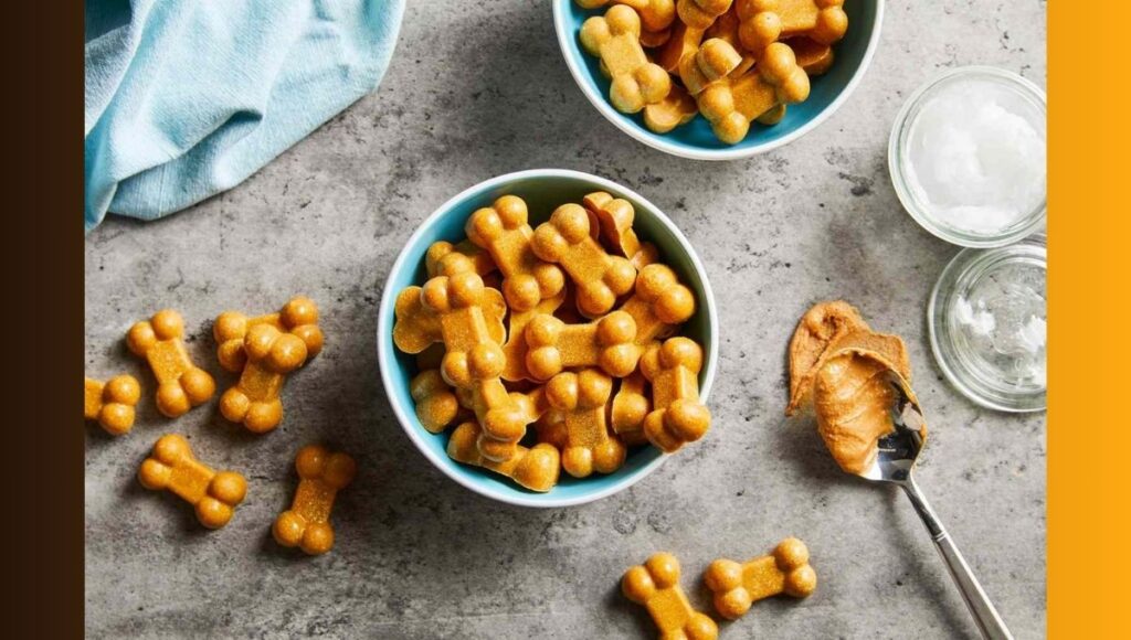 Good Healthy Snacks