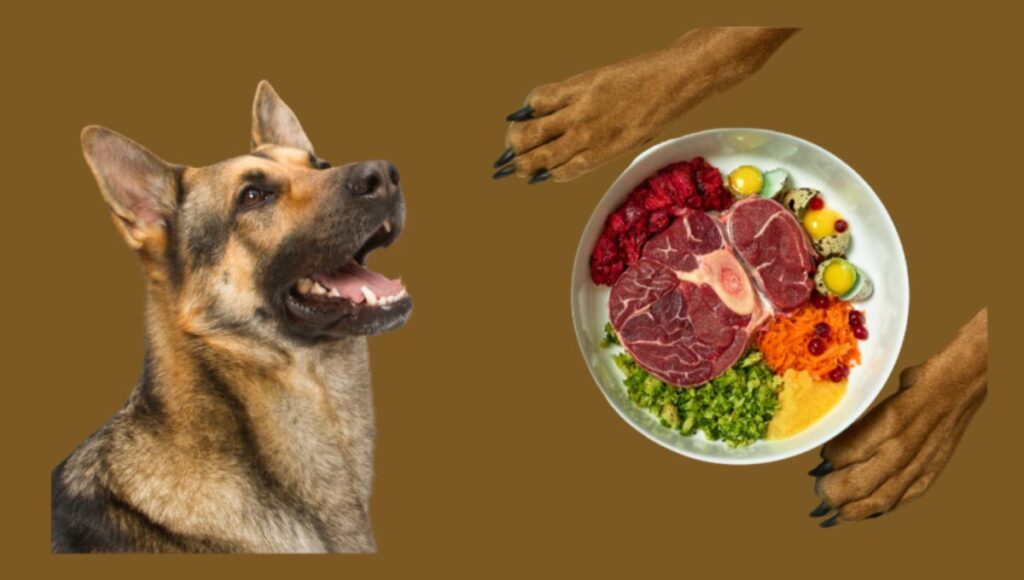 Nutrition and Diet for Large German Shepherd