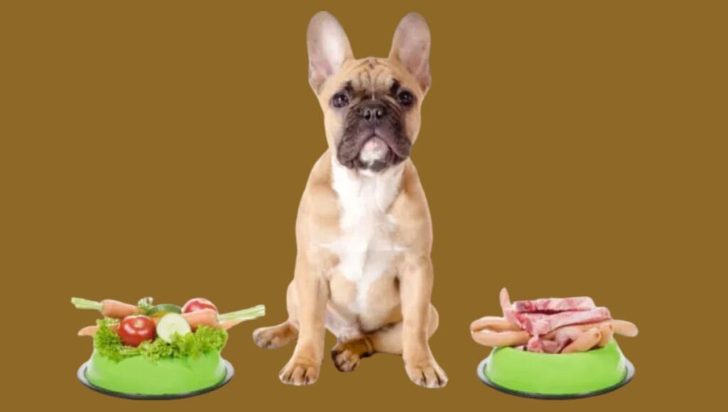 Best Food For French Bulldogs With Sensitive Stomach