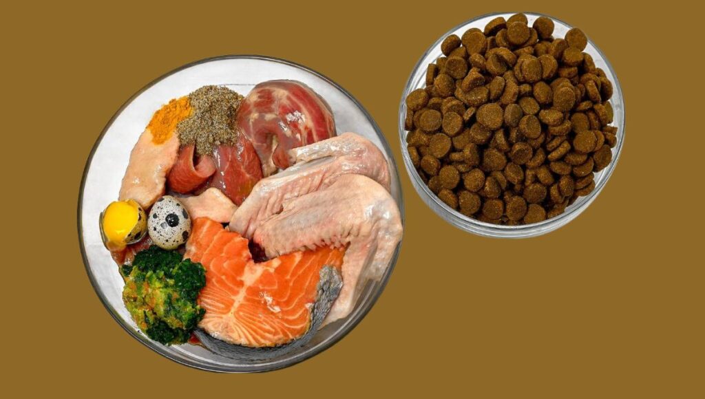Best Diet for Black German Shepherd Puppy